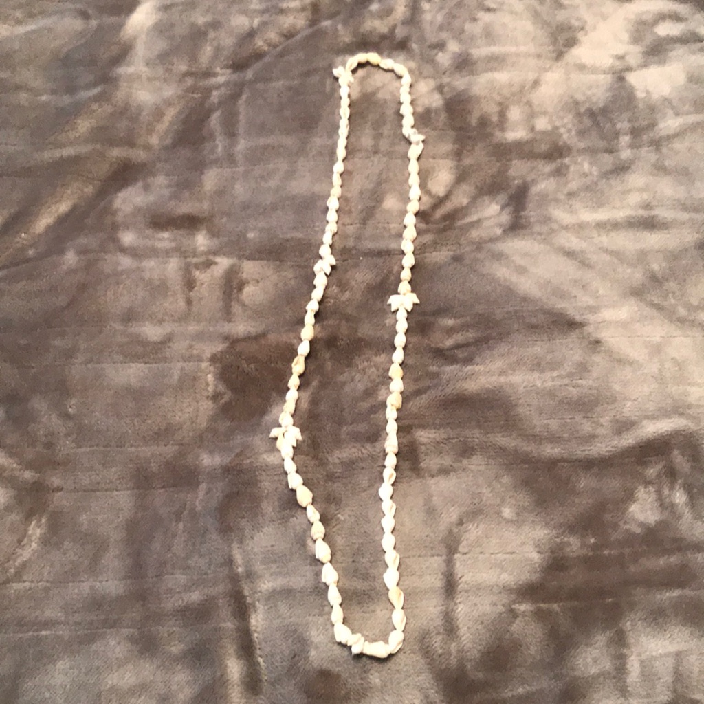 Vintage Shell NecklaceNwot